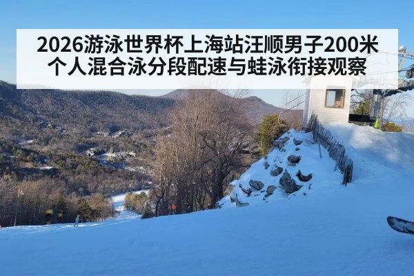 2026游泳世界杯上海站汪顺男子200米个人混合泳分段配速与蛙泳衔接观察